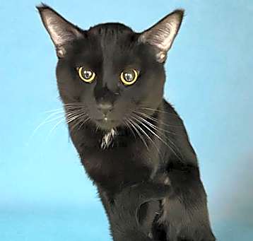 Photo of LENNY