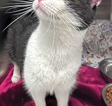 Photo of Rosie