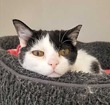 Photo of Sugar