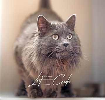 Photo of Missy