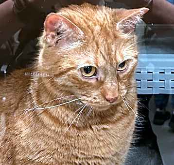 Photo of Junior
