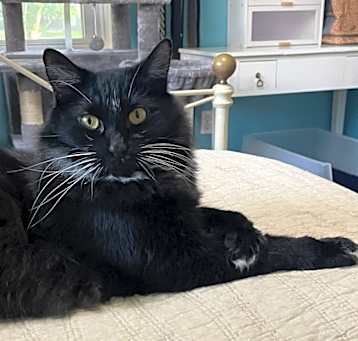 Photo of Winky