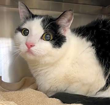 Photo of Kiki