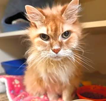 Photo of Button