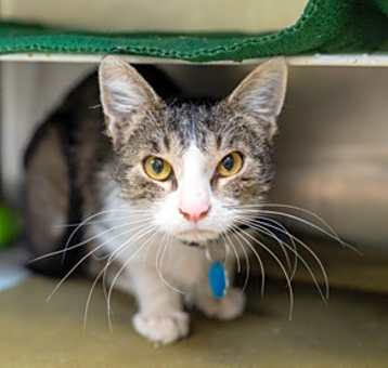 Photo of Baby Girl