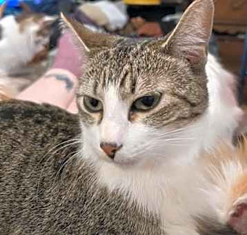 Photo of Tiny