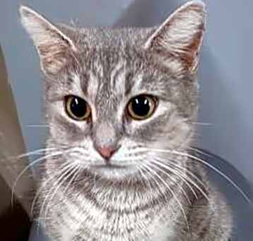 Photo of Prissy