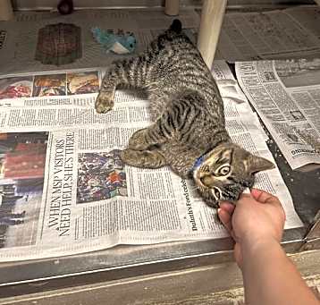 Photo of Stormy