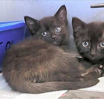 Photo of A1033207