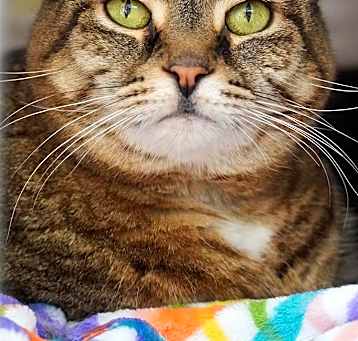 Photo of Rosie