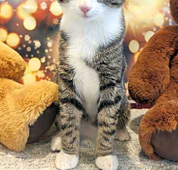 Photo of Edith