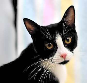 Photo of Gabby