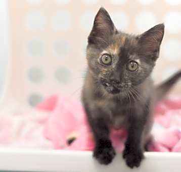Photo of Shelly