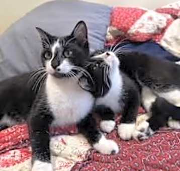 Photo of Saturn & Mavis duo