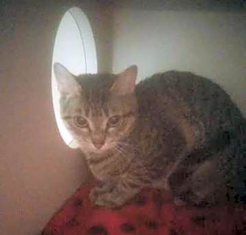 Photo of Sally