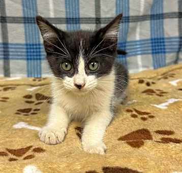 Photo of Tess