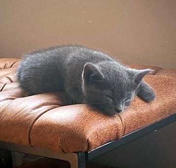 Photo of No name yet