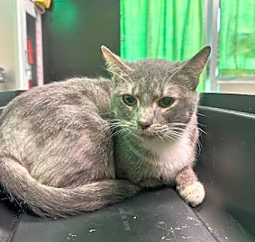 Photo of Stormy