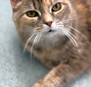 Photo of Sassy