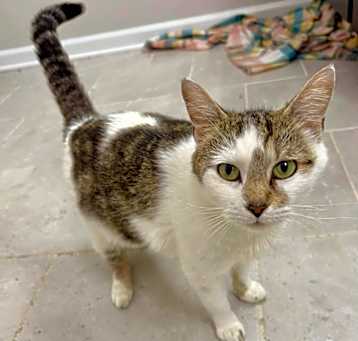 Photo of Athena
