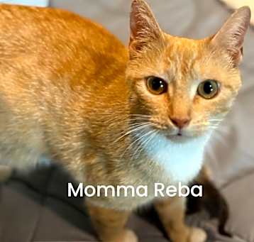 Photo of REBA Mama