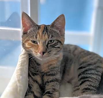 Photo of Molly