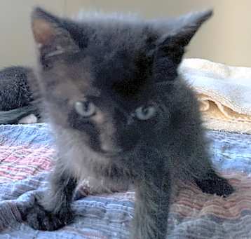 Photo of Flynn