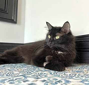 Photo of Lucy