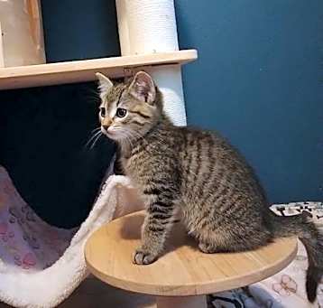 Photo of Cosette