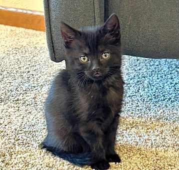 Photo of Sallie