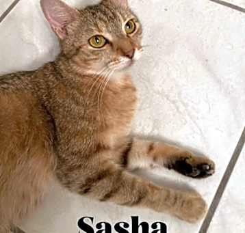 Photo of Sasha