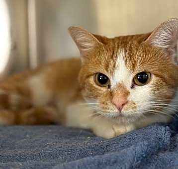 Photo of Sandy