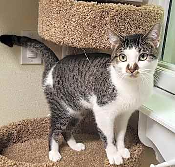 Photo of Cratchit