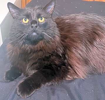 Photo of Jasper