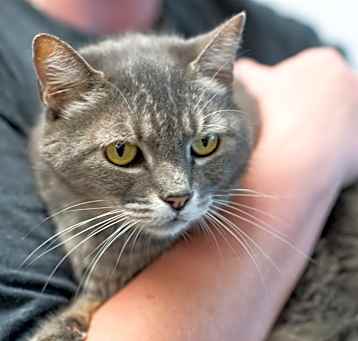 Photo of CONNIE-29774