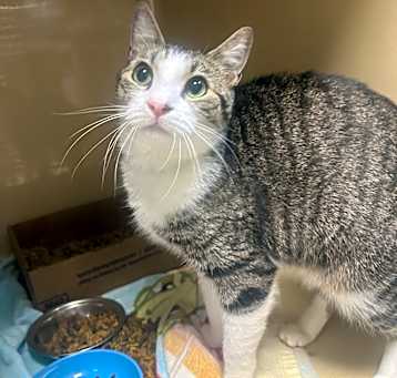 Photo of Maverick