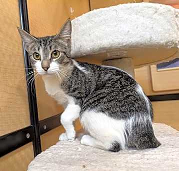 Photo of Missy