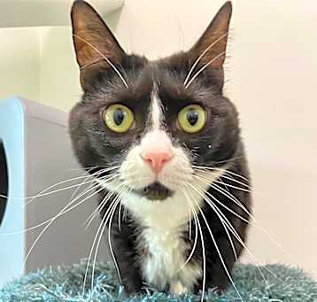 Photo of Miss Bean