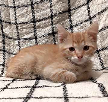 Photo of Tom