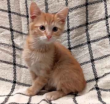 Photo of Jerry