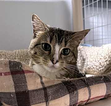 Photo of Bitty