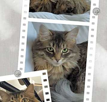 Photo of Alice & Arabella