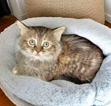 Photo of Lillian