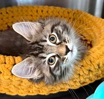 Photo of Thelma