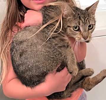 Photo of Little Momma Spice