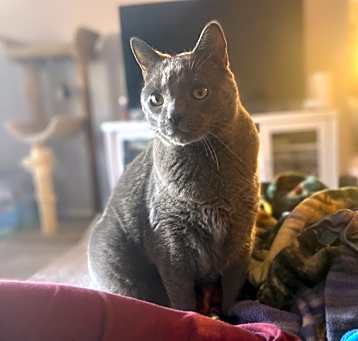 Photo of Ash