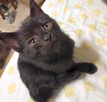 Photo of Storm