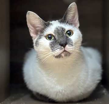 Photo of Miss Celia