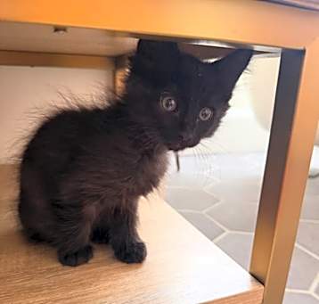 Photo of Floppity