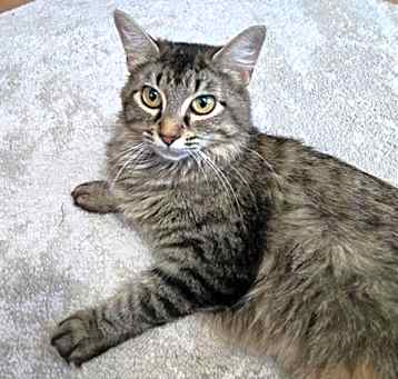 Photo of MAYA